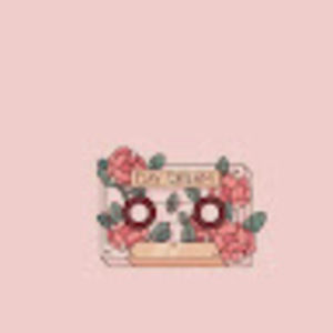 Meet your Posher, Allie